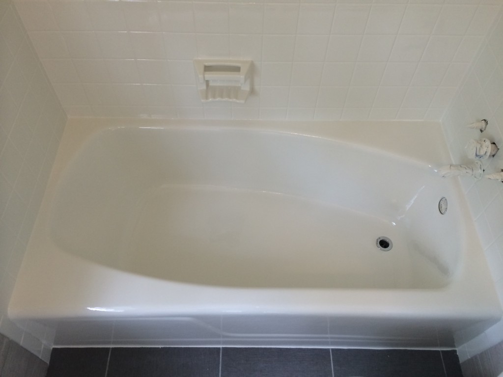 bathtub replacement apollo beach fl